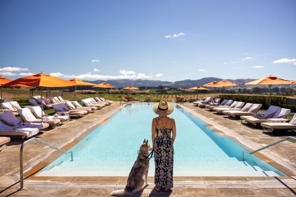 Hotel guide to direct bookings for the summer travel season